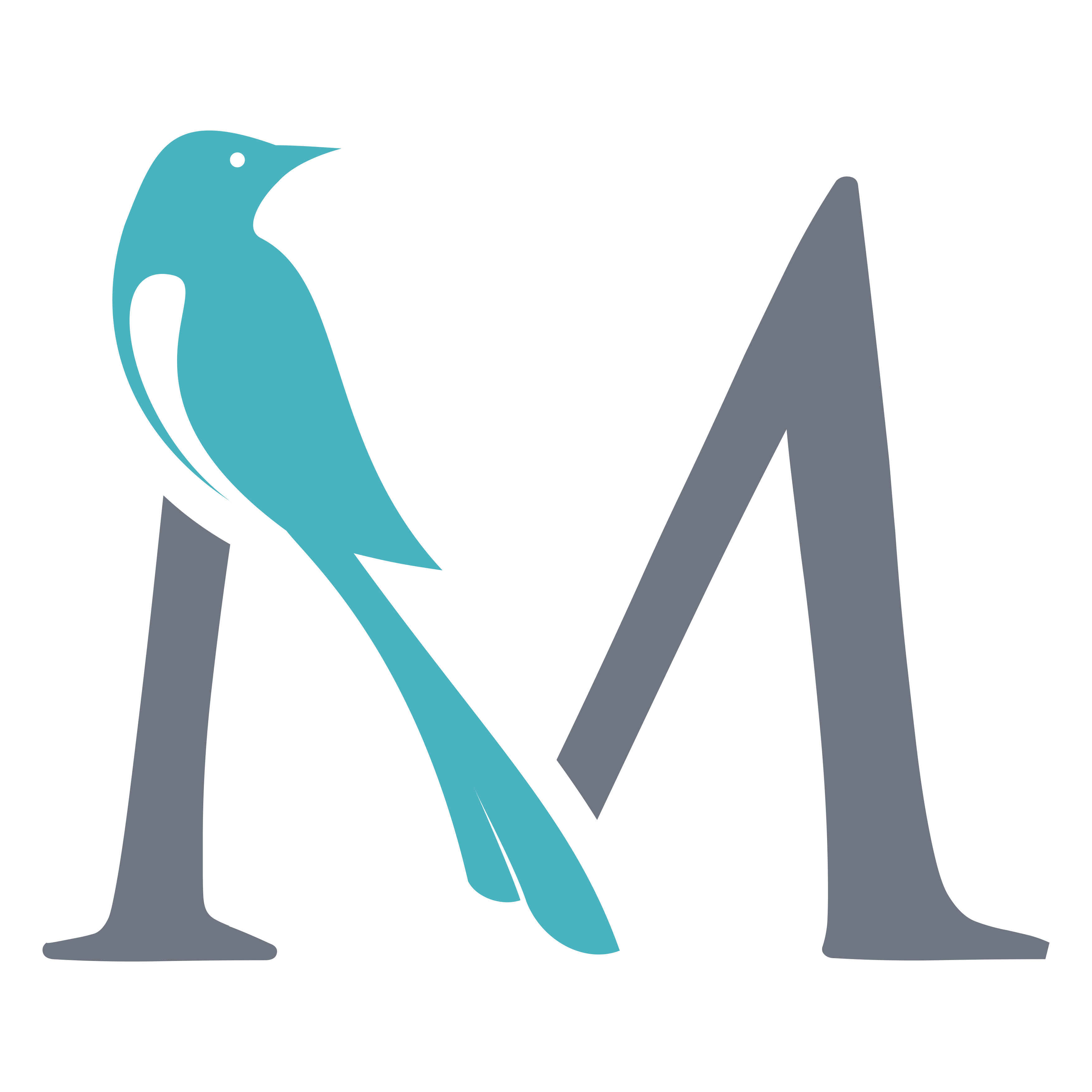 Magpies Consulting